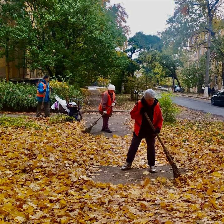 ������ ��������: ������� ��������� ��� �������� ����������� ������������� ������ 29 �������