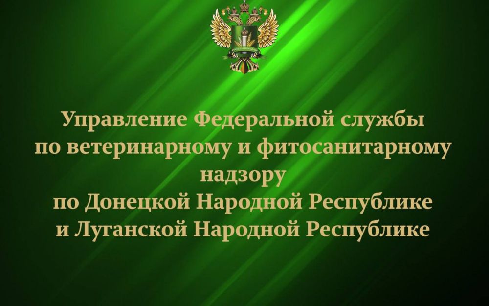 29 ������� 2024 ���� ����� ������������� ���������� ����������������� �� ��������� �������� ���������� � ���������� ����������������� �� �������� �������� ���������� ����������� ��������� ������������� ������ ��������������� ������������� ������