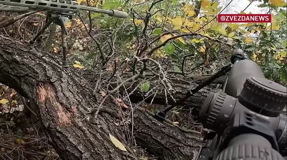 ������ ����� �� ������� ���� - ��������-������� ���������� ����������� ����������� ������-�������� ��������