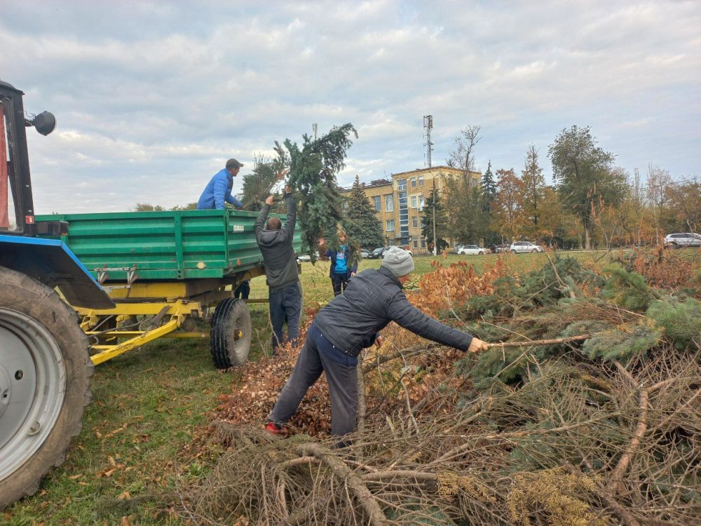 ������� �������: �� ���������� ��������� ����� �������� �������� ���������� �.�