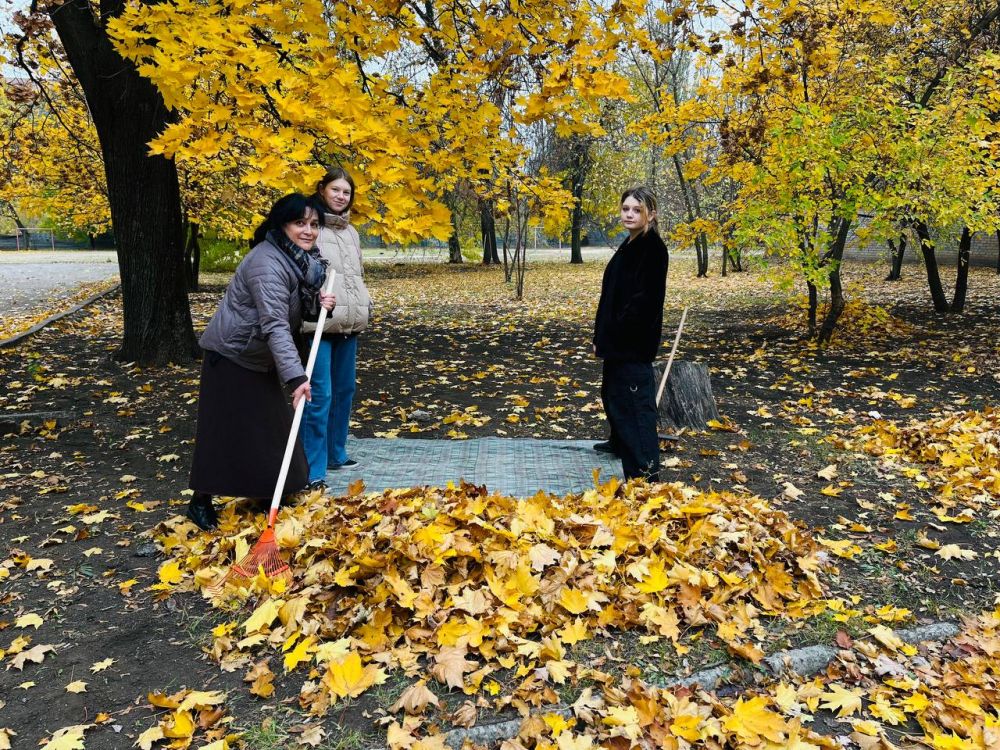 ������� ������: ���������� �����������, ���������� � ����������� ������������ ���������������� ������ ������ ������� �...