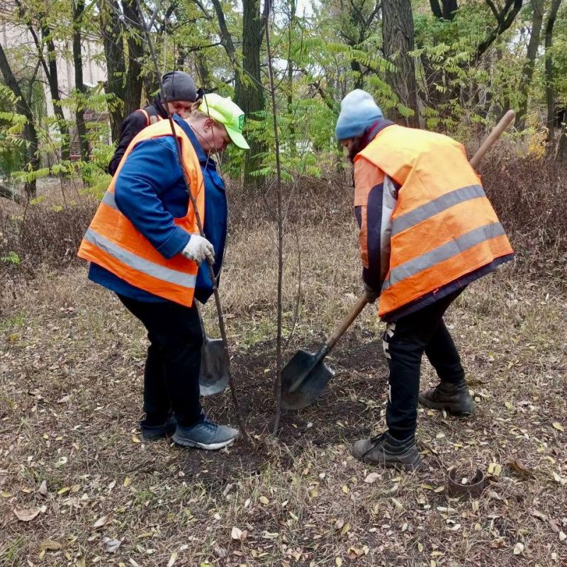 ������ ��������: ������� ���� ���������� ������������� ������ 31 �������