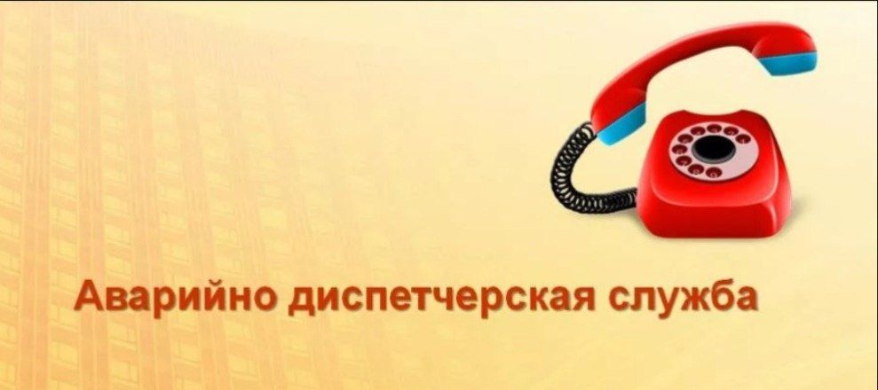 ���� ������: ���������� ������ ��������-������������� ����� ������������� ������!