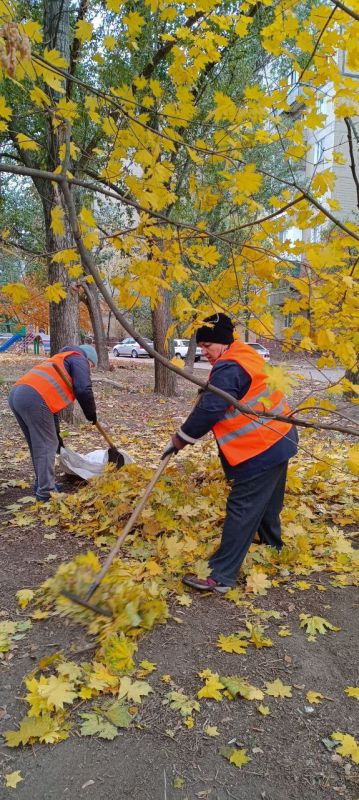 ������� ������: �������, 31 �������, �������-