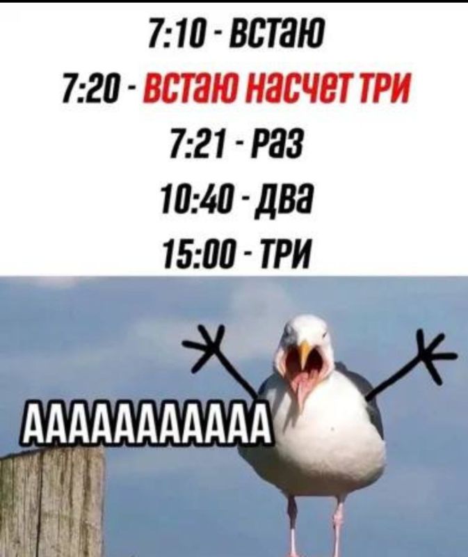 ������� �����. ��������� ���������-24