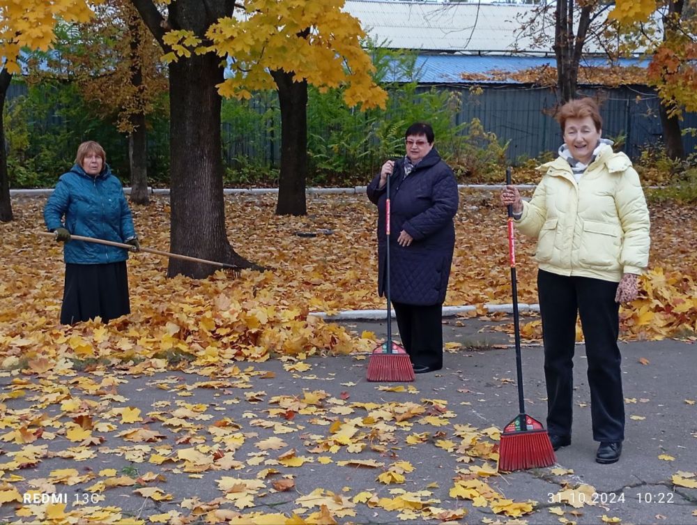 ���� ������: �������, 31.10.2024, � ������ ���������� ������� ����������� ��� ������� ������� ��������������...