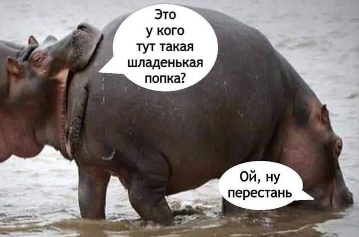 ������ ��� ���� ����� � ������