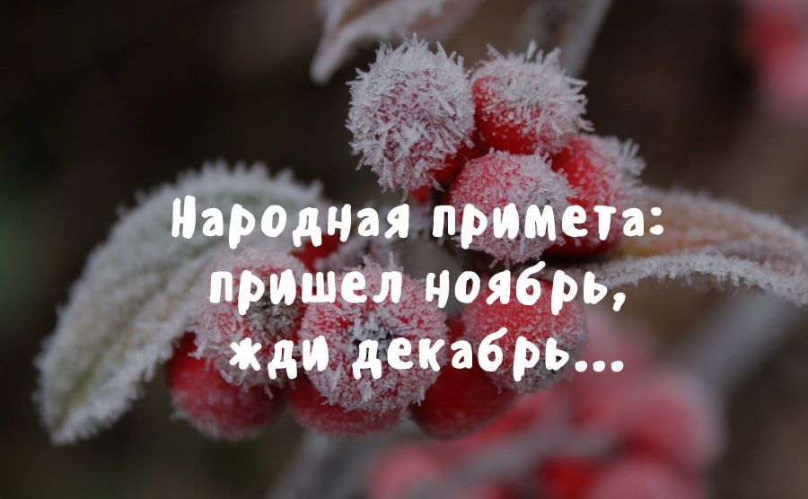 � 1 ������!. ���� ������� | ����������� �� �����