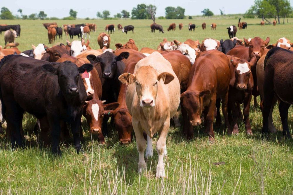� ��� �� 9 ������� �������� ���� ����������� ����� � ����� �� ���� (� ����� ����) ����� ����� 30,5 ���