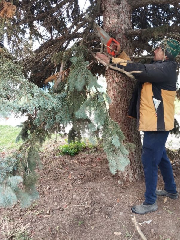 ������� �������: ����� �������� �������� ���������� ����� ������� ������� ������ �������� �������� ��������������� � ��������� �������