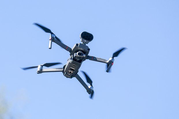 ��� �������: ��� ��������� ���� � ������������� ������ ��� ���� �� ����� �����