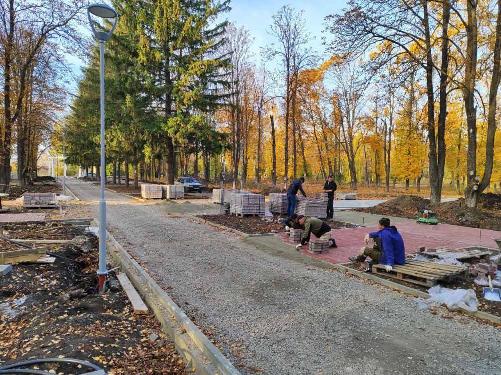 Константин Зинченко: В Летнем парке кипит работа