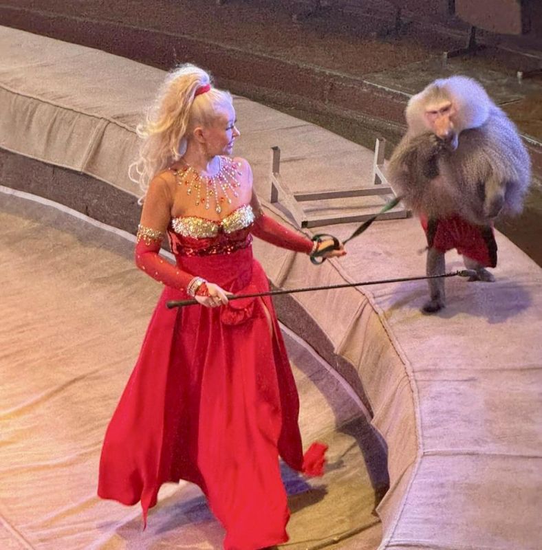 � ������� �������� �������� ���������� ��������������� �������� ��������