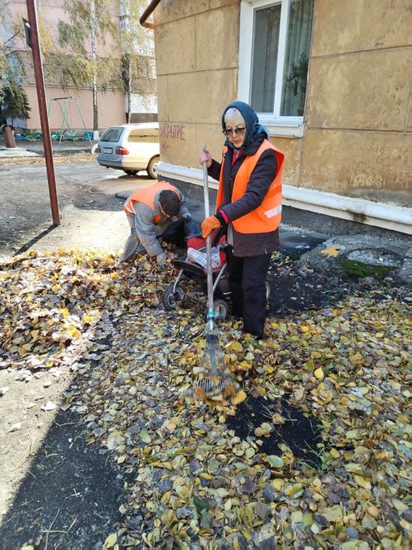 ����� ���������: �������, 05.11.2024 ����, ������ ����������� �������-������������ ����������� ������������� ������ �. ������� ���� ��������� ��������� ������: