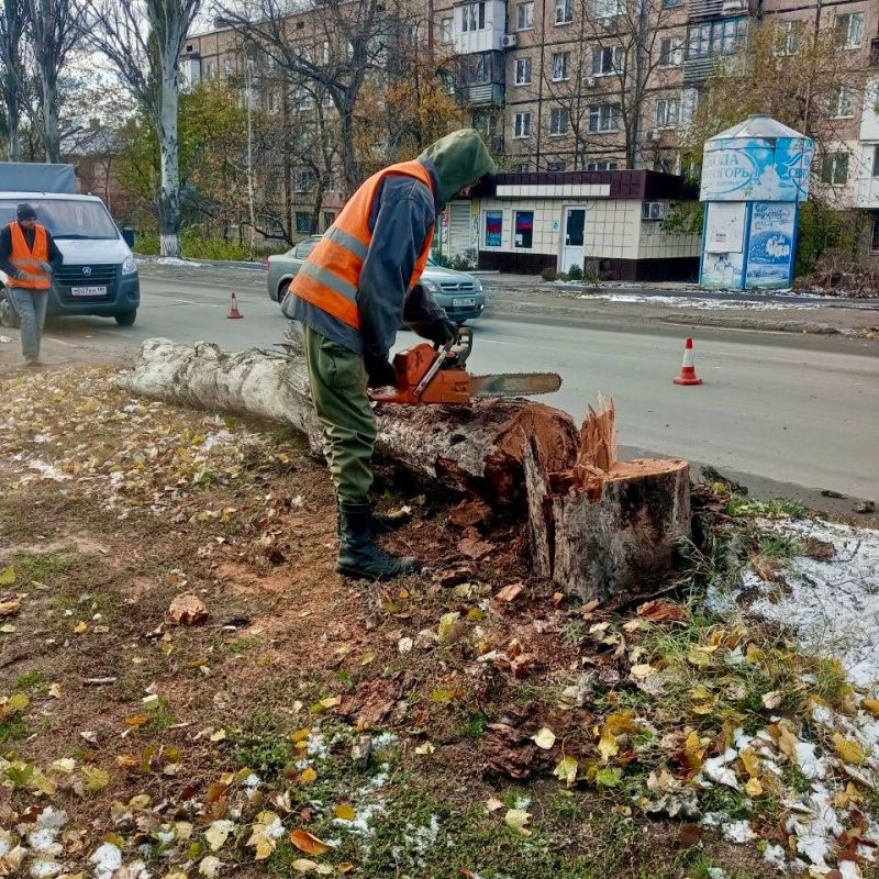 ������ ��������: ������� ���� ���������� ������������� ������ 5 ������