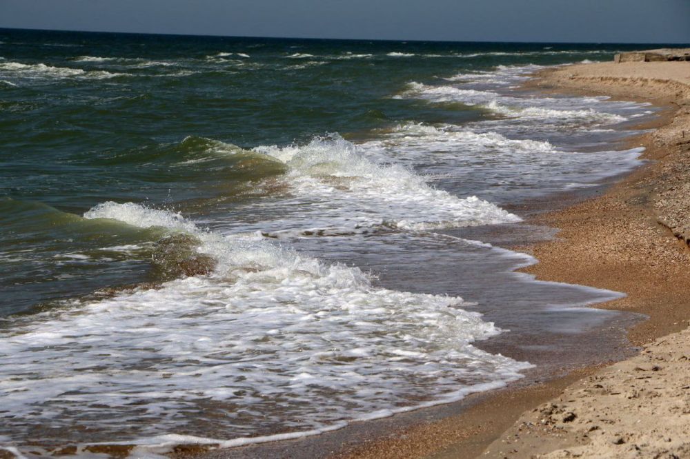 ������� �������: ������� ��-������ ���������� ������