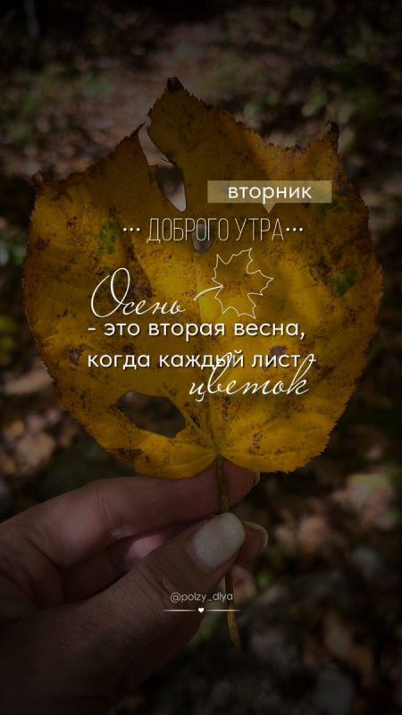 ������ ����!. ����� ����! ����������� ���� �������������