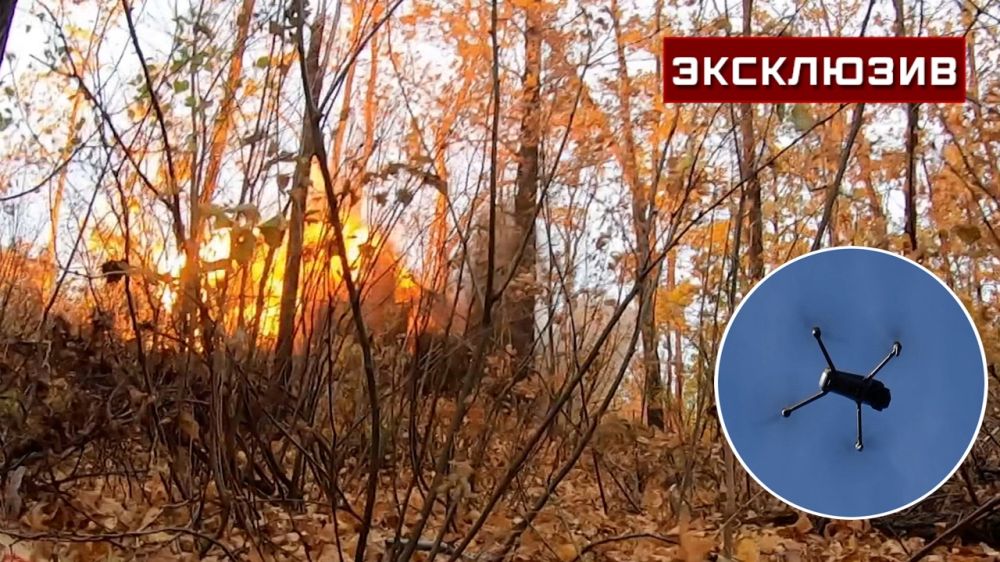 ������ ����������� ���� ��� ��� ������ ������������