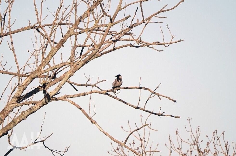 ���� �������� �������. � �������� � ���������� �������� ������� ��������������