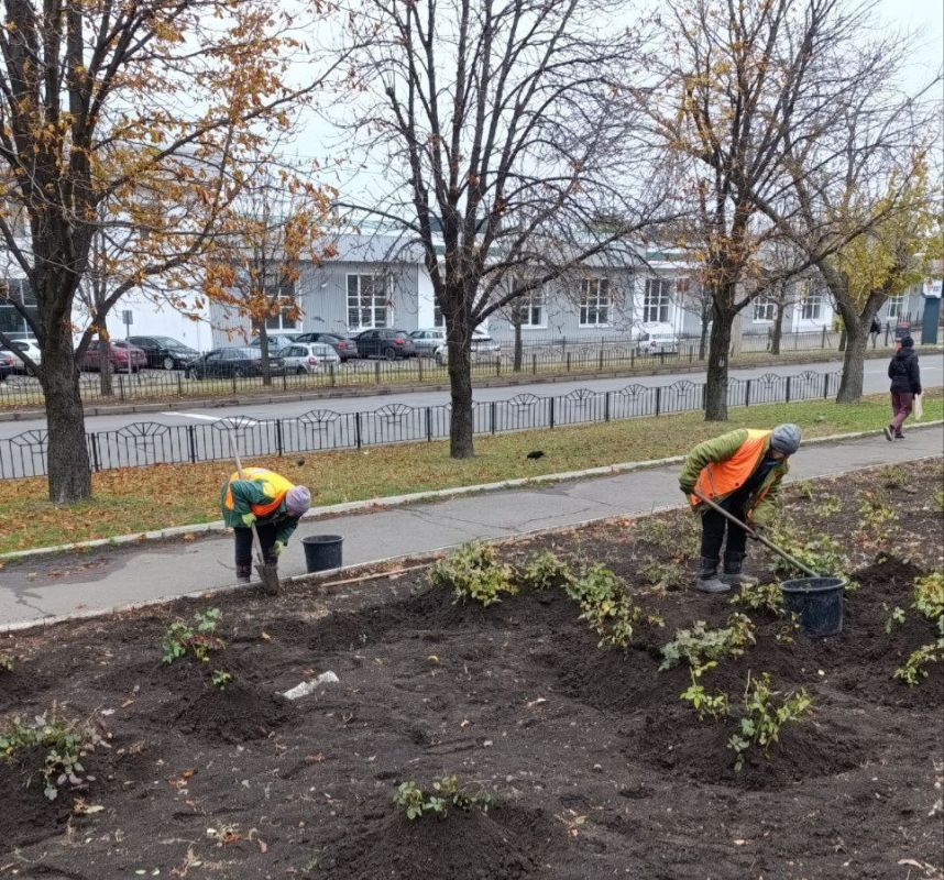 ���� ������: �������� �� ��������� �������� ������� � �������-������������ ����� ������������� ������, ��������� ������������ ����������� ���������� ���������, ��������� �������� � ���������������� � ������