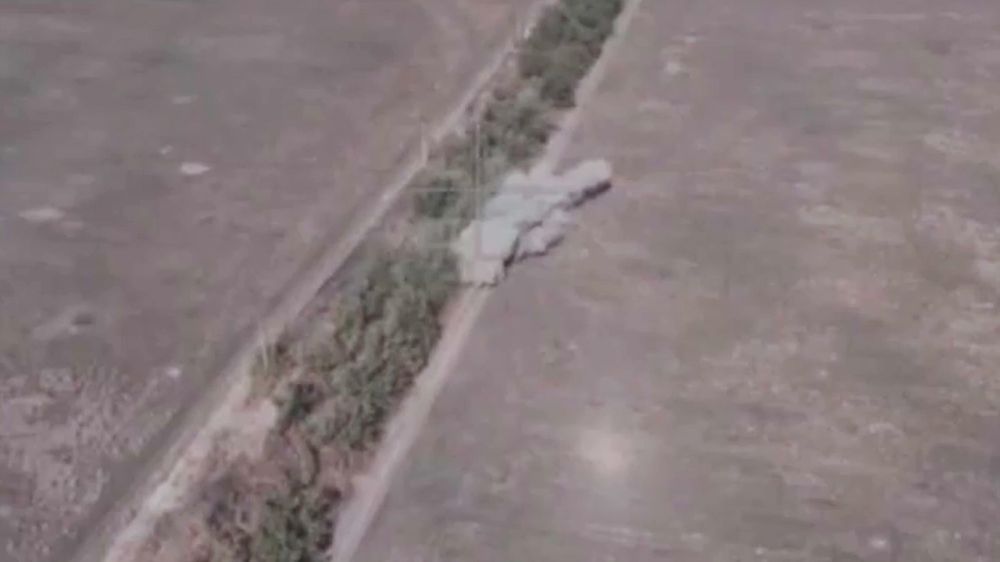 �� �������� ����������� �� �� ���������� ��������������� ������� ���