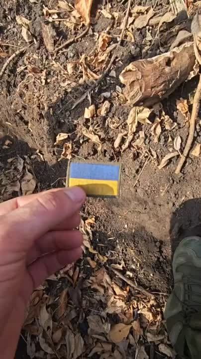 ������ �������: ���������� �� ������� ����������� ����������� ������� �������� ���������� ������������ �� ����������� �����������