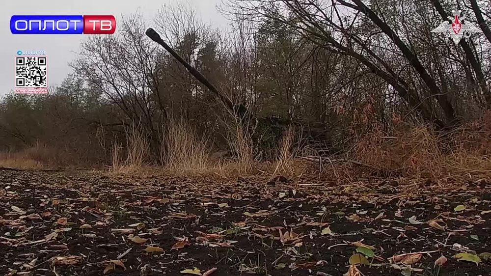 ������� ��� �����������