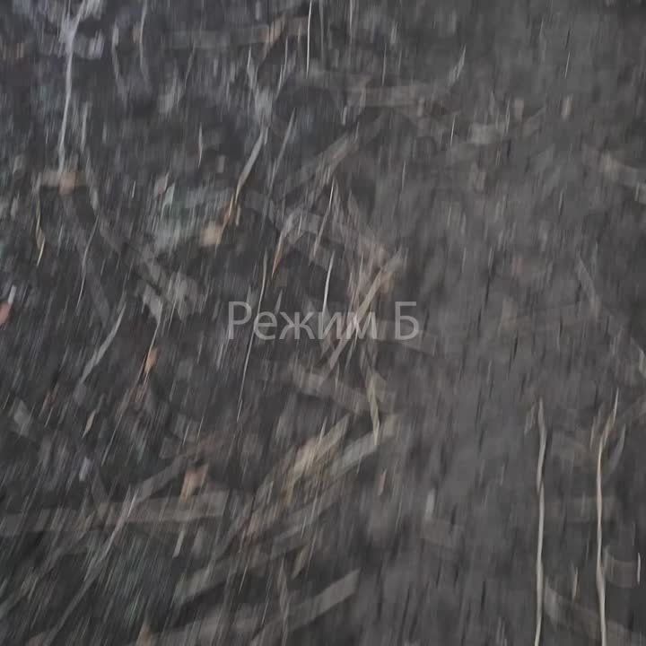 �� ����-�������� ����������� ������������ �������������� �������� ����������� ����� "������" � ������ ��������