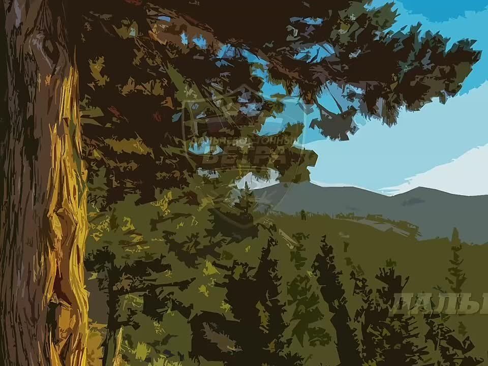 ����� ��������������� ����� ���������� ������������� ��� �� ����-�������� �����������