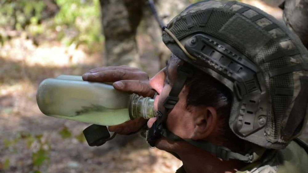 "��� ����� ������ ������": ������� ��������, ������ � �������� ����� ����������� �������� ��������