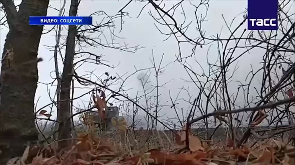 ��� ������� �������� ���������� ��������� �� ����� ��������� ��� ������