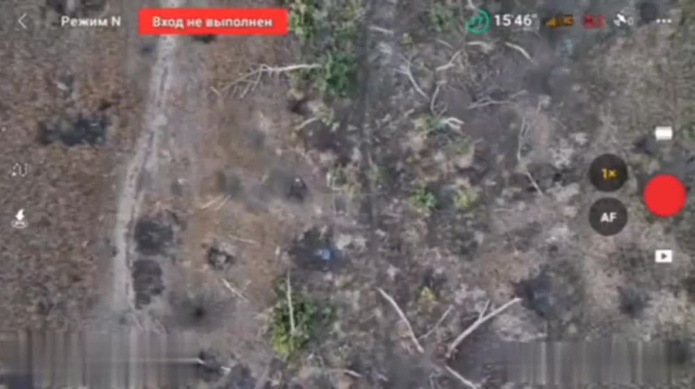 ������ �������: ������ ������ ���������� 40 ������� ������� ������ ��� �� ����-�������� �����������