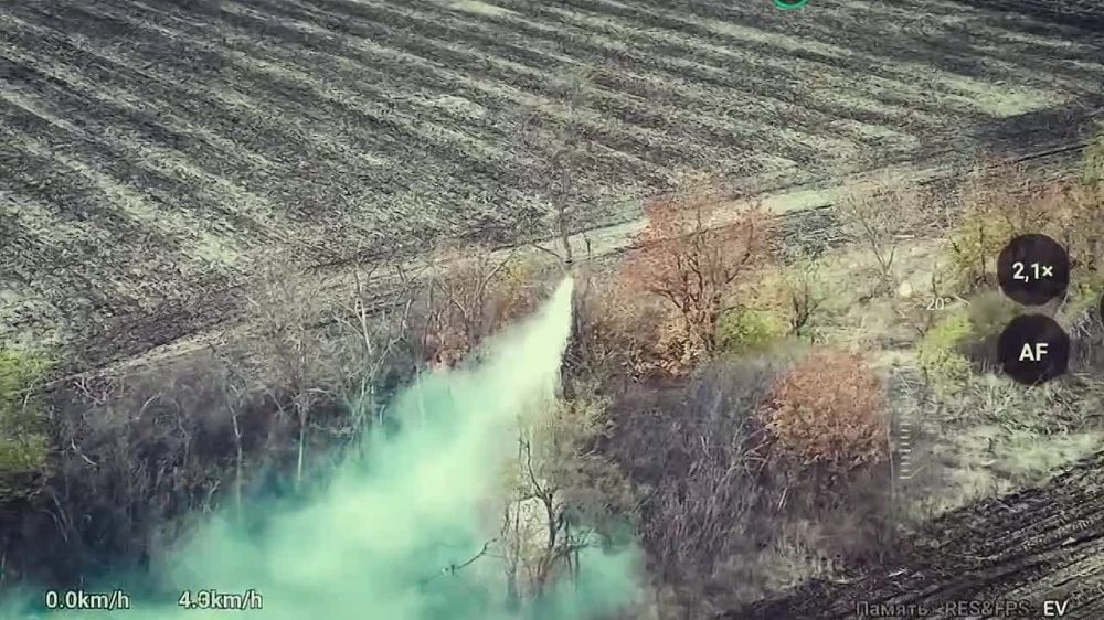 �������� ����� "�����