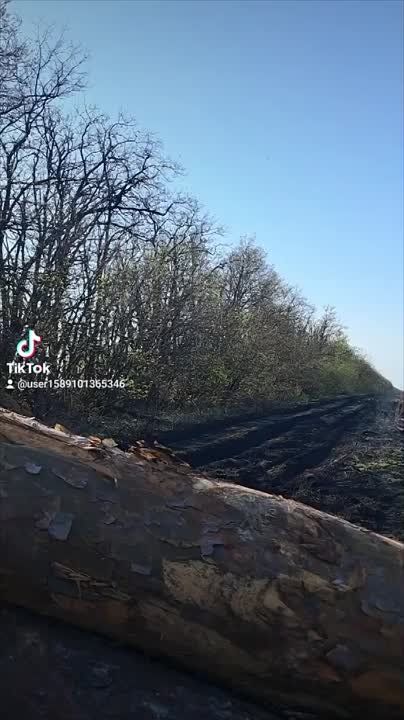 ������ �������: �������� ��� ����� ������� ���������� �� ����-�������� �����������