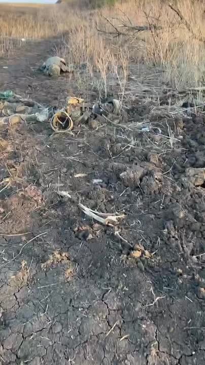 ����� ������ ��������� ��������� ������