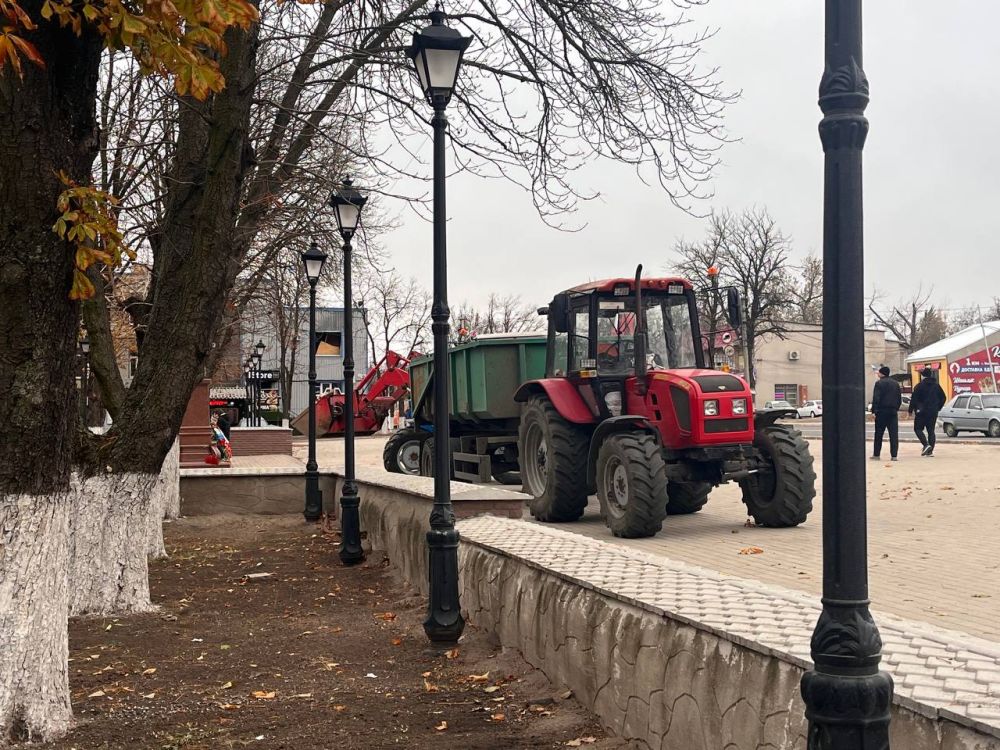 Константин Зинченко: Осень в городе: коммунальные службы трудятся, чтобы наш город оставался чистым и ухоженным