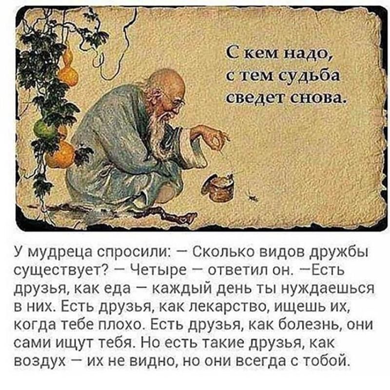 ������ �����. ��������� ���������-24