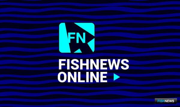                 Fishnews Online