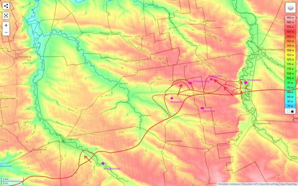 ���� ��������: ����-����������� ����������� �� ���� 13.11.24 (1): ���������������� ������� - �����������