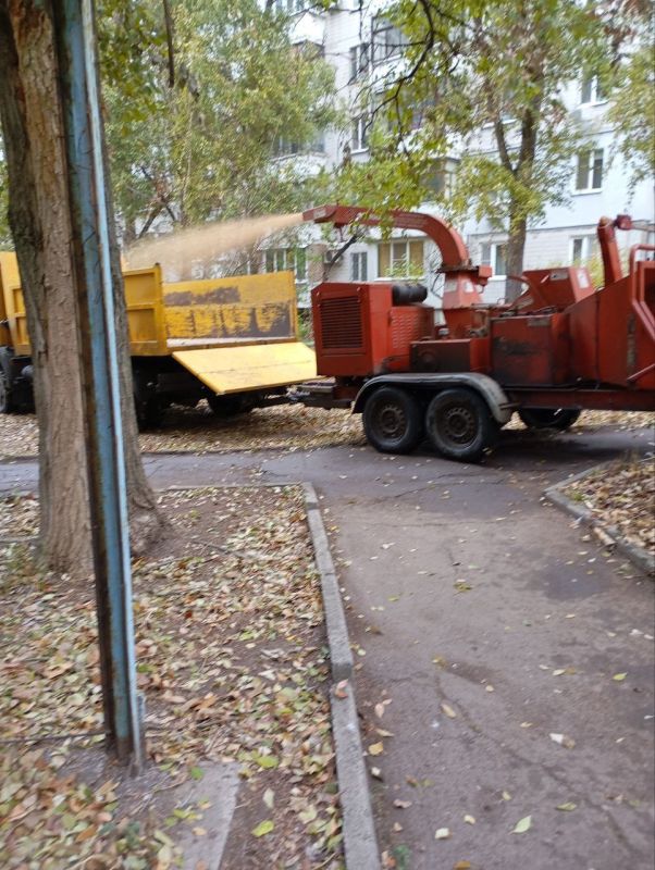 ������� ������: �������, ������ ��� ��� "����������� �������� ������������ ������ �.�������" ��������� ������ �� ����������� ������ � ���� �� ������: ���