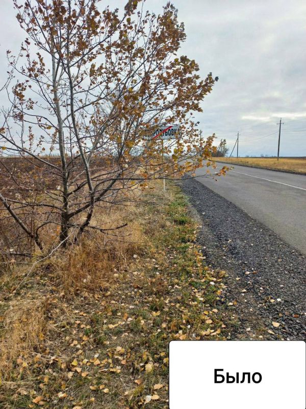 ����� �����: 14 ������: �� ���������� ��������� ����� ��� ������ ��������, ���������� ��������� ������ �� ��������������� ������