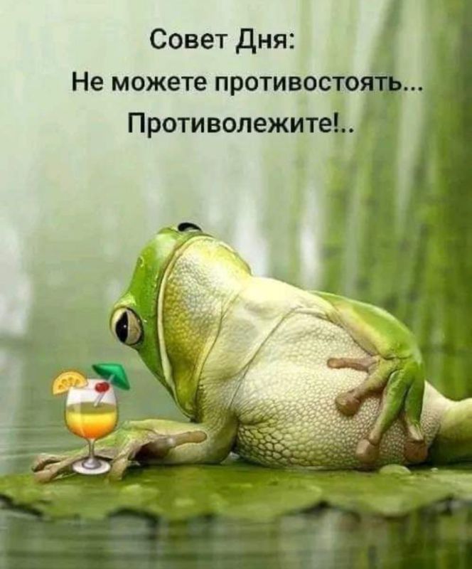 ������� �����. ��������� ���������-24
