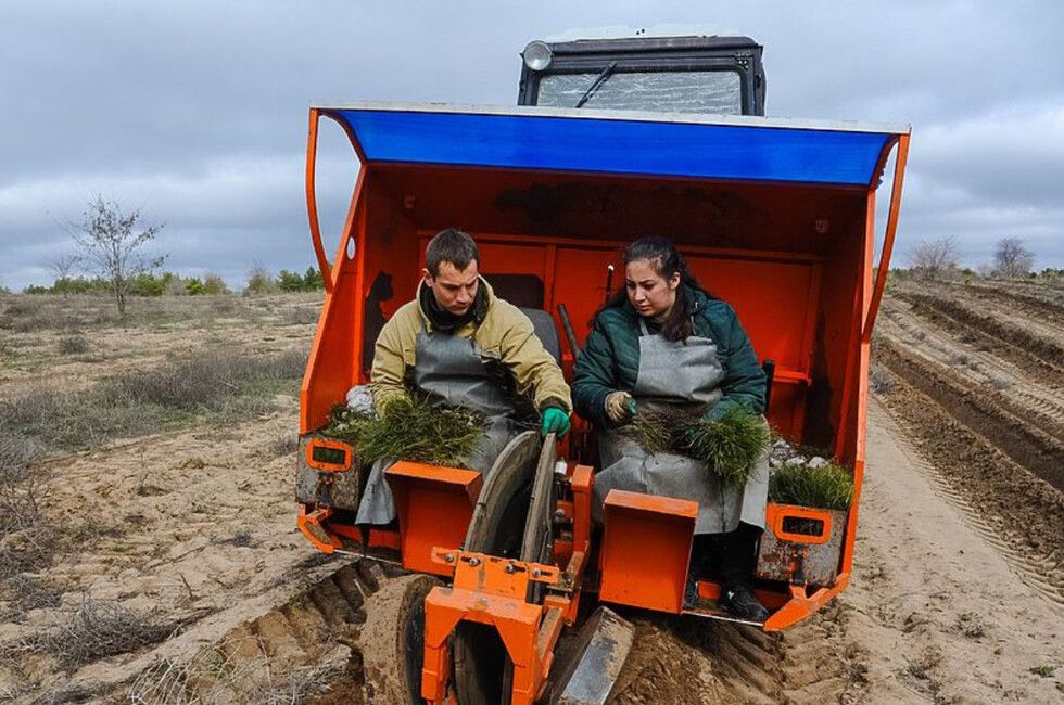 �� ������� ������� � ���. ��� ������ �������� �� ������� ����� � ����������