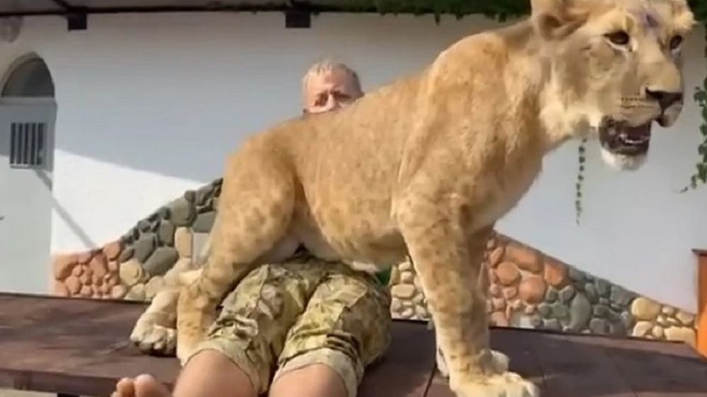 ������ ����� � ������: ��� ������ �� �������� ������ � �������� �� ���� � �����