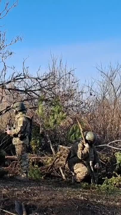 ������� ���������: � ���� ����������!. ����-� 14�� �������������� ������� �������� 51-�� �������� �����