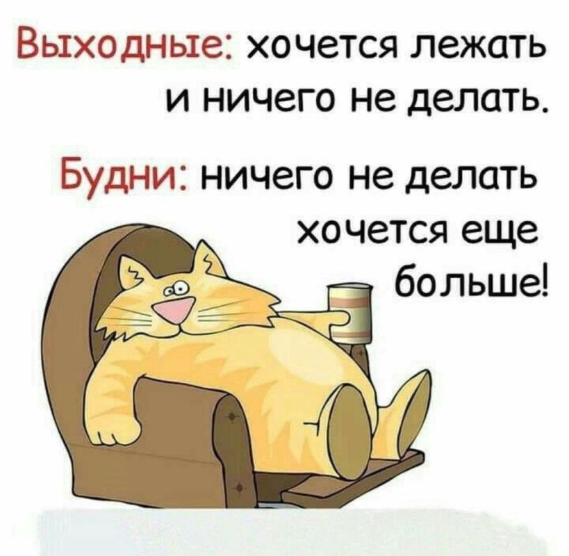 ������� �����. ��������� ���������-24