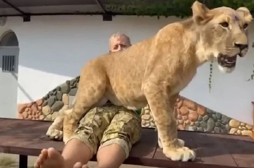 �������� ��� ������ ������ � �������� �� ���� � �����