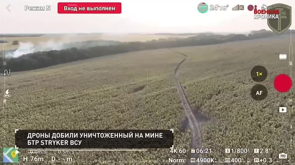 ��������� ��������: ������� �������. 20 ������ - ����� ���