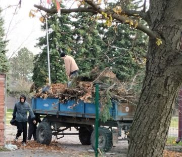 Сотрудники отдела культуры совместно с сотрудниками ЦБС  приняли участие в уборке парка и территории прилегающей к монументу "Родина Мать"