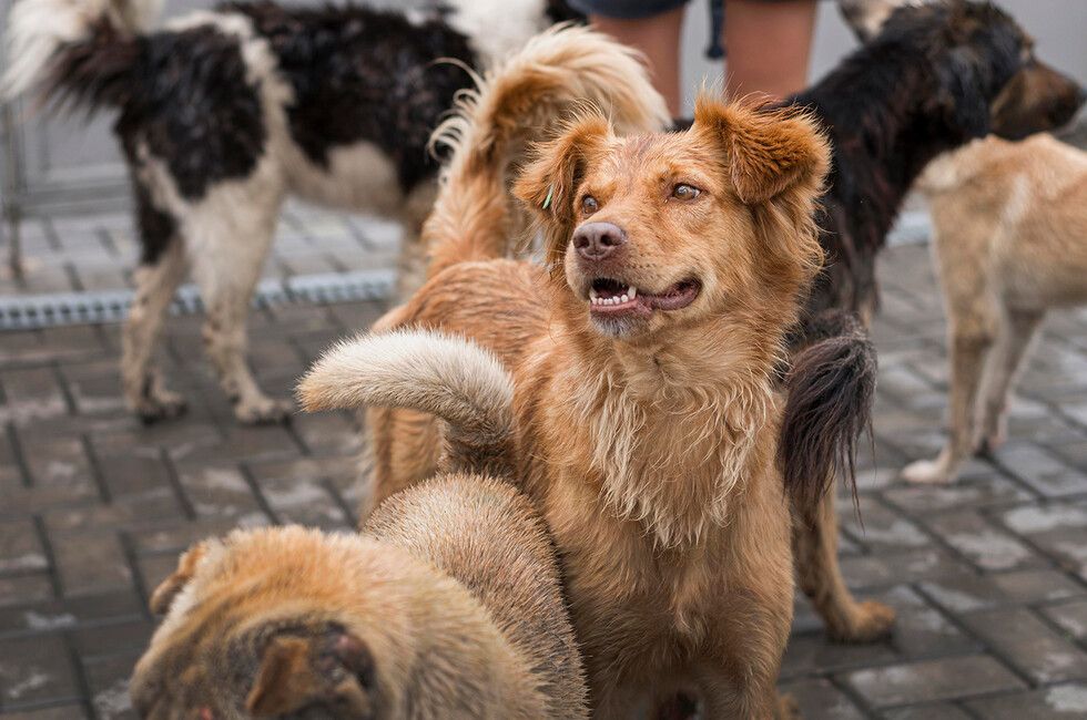 � ������� �������� ����� ��� ����� � ��� � ������������� ���������